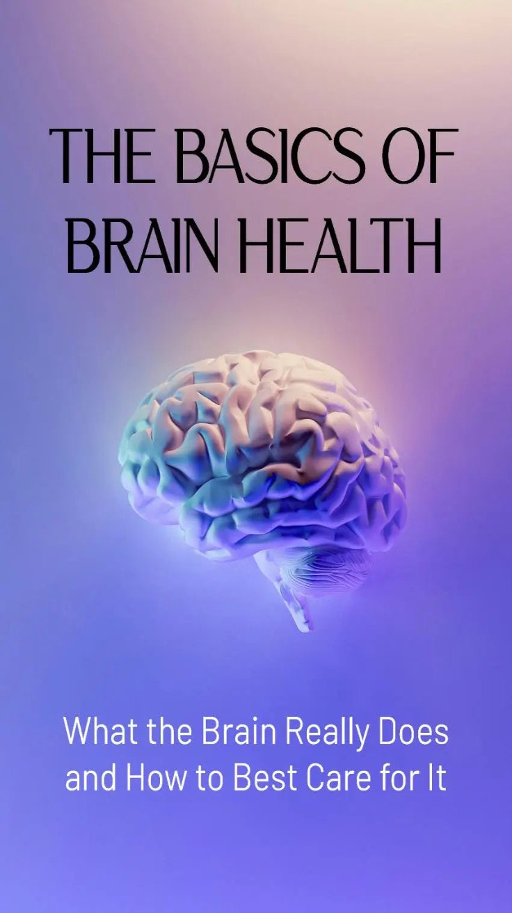 The Basics of Brain Health: What the Brain Really Does and How to Best Care for It Euphemia